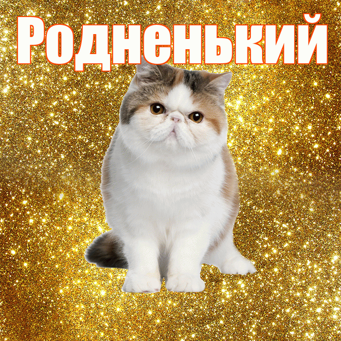 Родненький! Доброе утро! Красивая открытка !