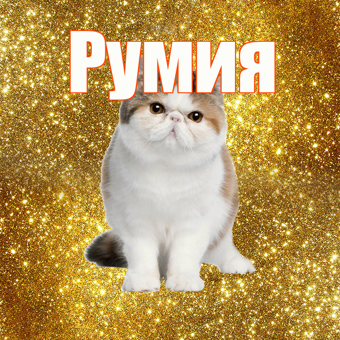 Румия! Доброе утро! Красивая открытка Румии!