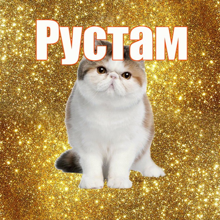 Рустам! Доброе утро! Красивая открытка Русту!
