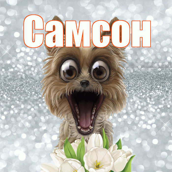 Самсон! Доброе утро! Красивая открытка Самсону!