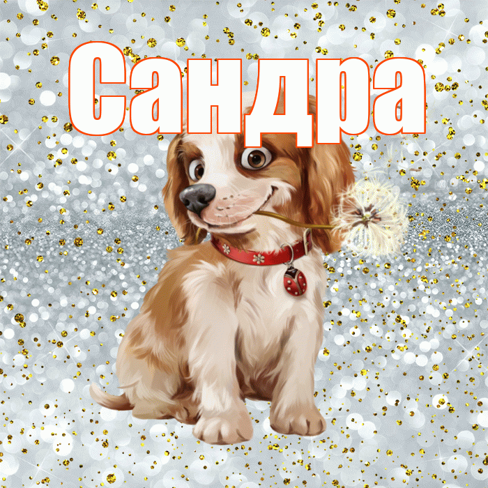 Сандра! Доброе утро! Красивая открытка Сандре!