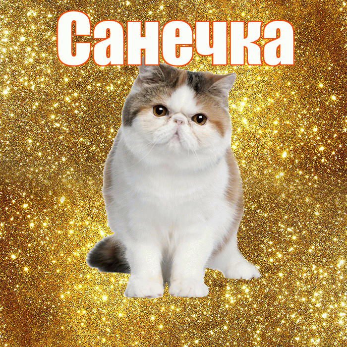 Санечка! Доброе утро! Красивая открытка !