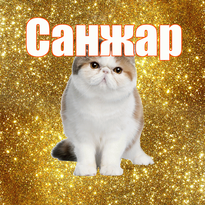 Санжар! Доброе утро! Красивая открытка Санжару!
