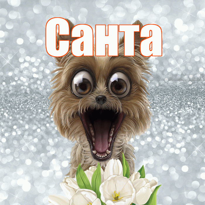 Санта! Доброе утро! Красивая открытка Санту!