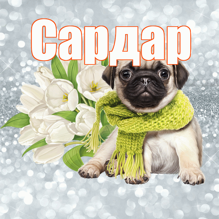Сардар! Доброе утро! Красивая открытка Сардару!