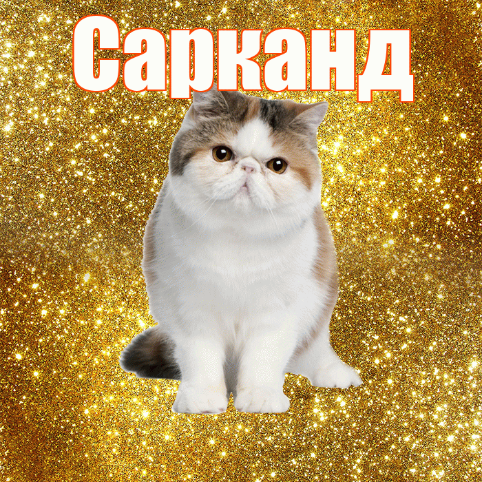 Сарканд! Доброе утро! Красивая открытка Сарканду!