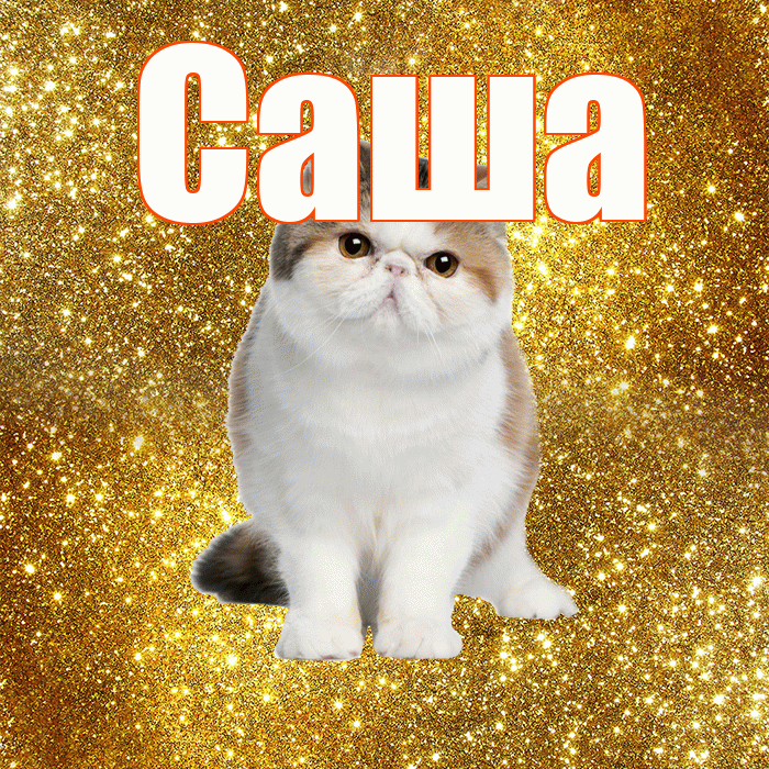 Саша! Доброе утро! Красивая открытка Саше!