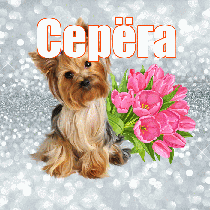 Серёга! Доброе утро! Красивая открытка !