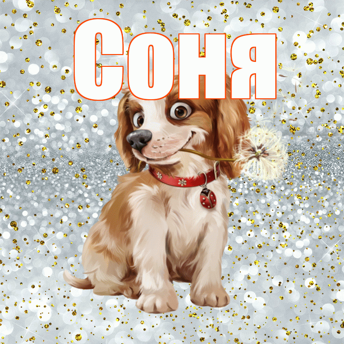 Соня! Доброе утро! Красивая открытка Соне!