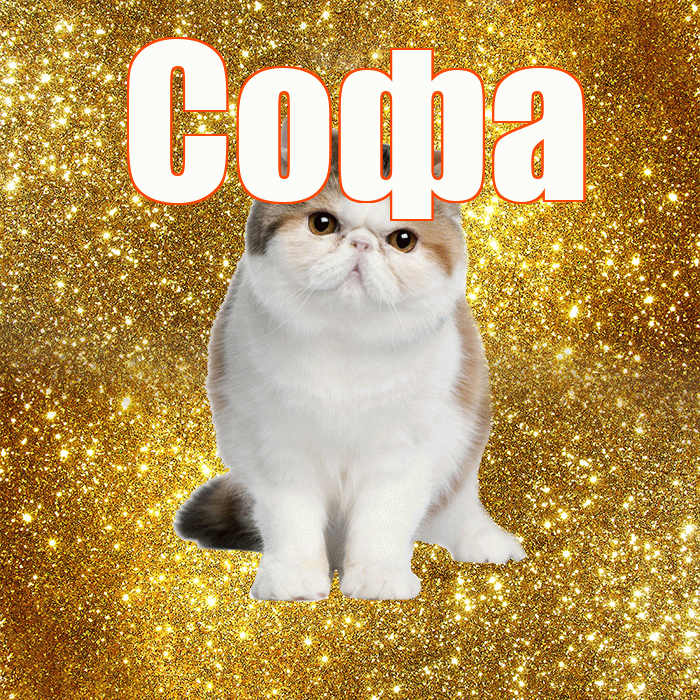 Софа! Доброе утро! Красивая открытка Софе!