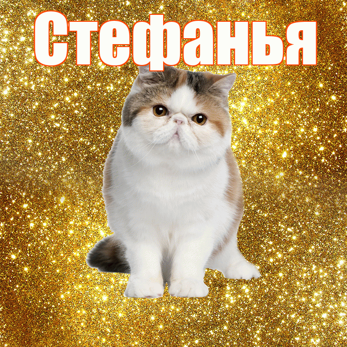 Стефанья! Доброе утро! Красивая открытка !