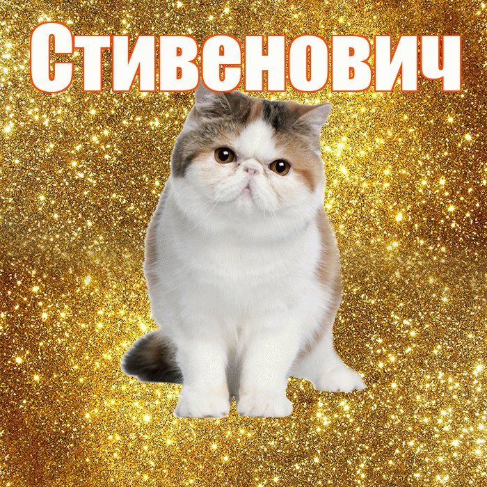 Стивенович! Доброе утро! Красивая открытка Стивеновичу!
