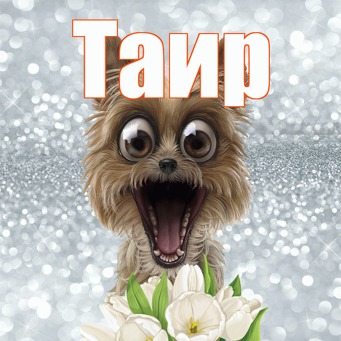 Таир! Доброе утро! Красивая открытка Таиру!