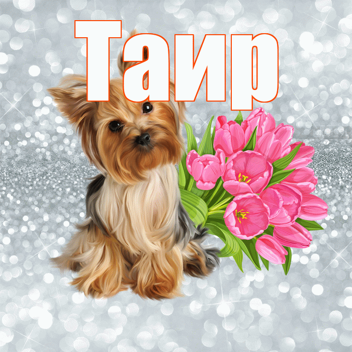 Таир! Доброе утро! Красивая открытка Таиру!