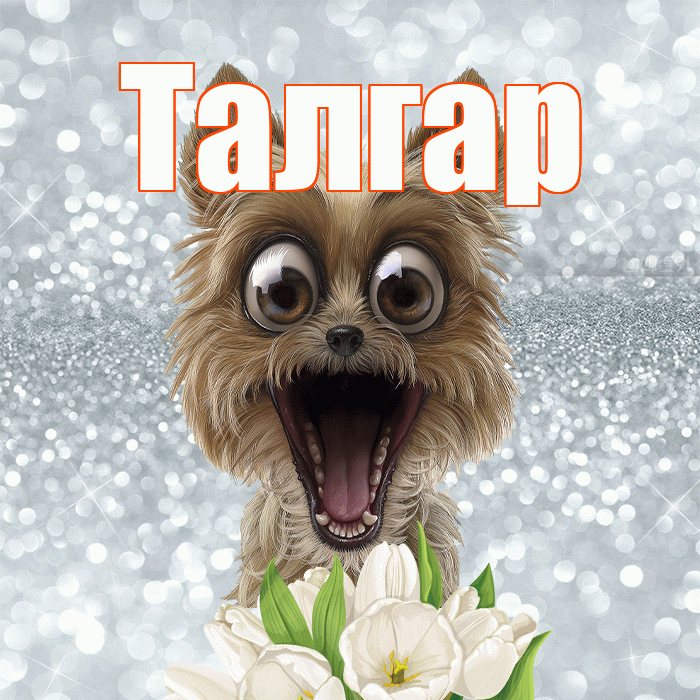 Талгар! Доброе утро! Красивая открытка Талгару!