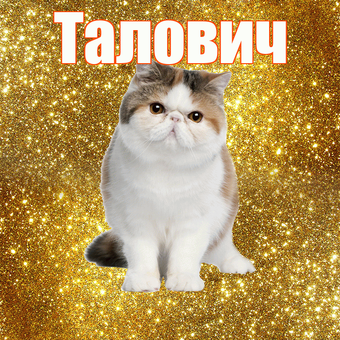 Талович! Доброе утро! Красивая открытка Таловичу!