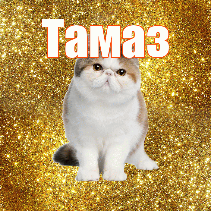 Тамаз! Доброе утро! Красивая открытка Тамазу!