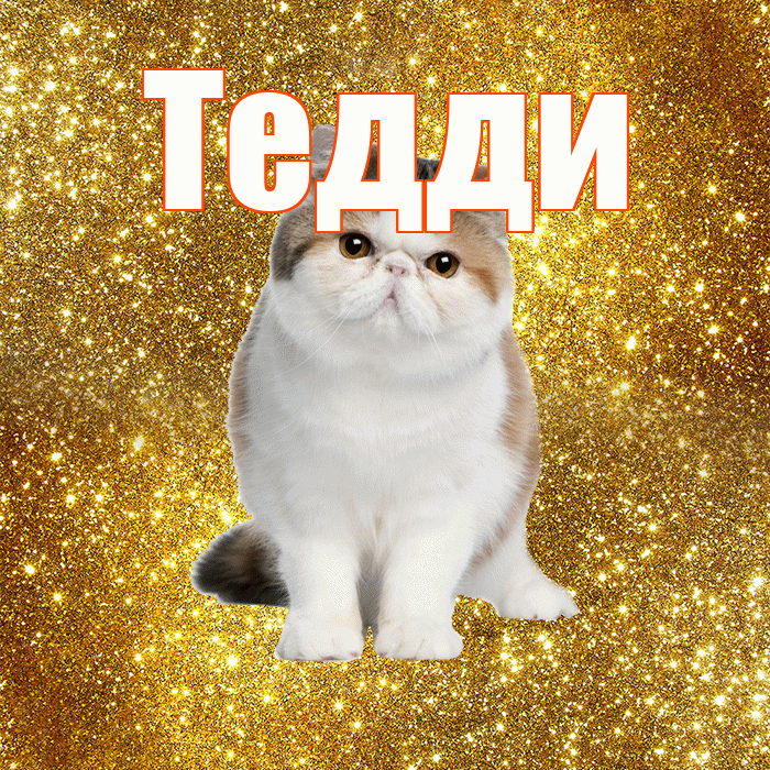 Тедди! Доброе утро! Красивая открытка !
