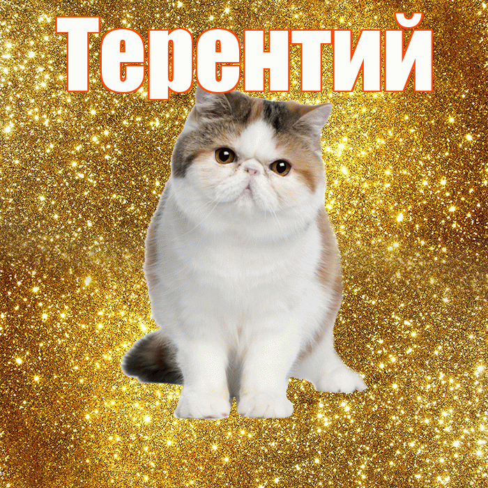 Терентий! Доброе утро! Красивая открытка Терентию!