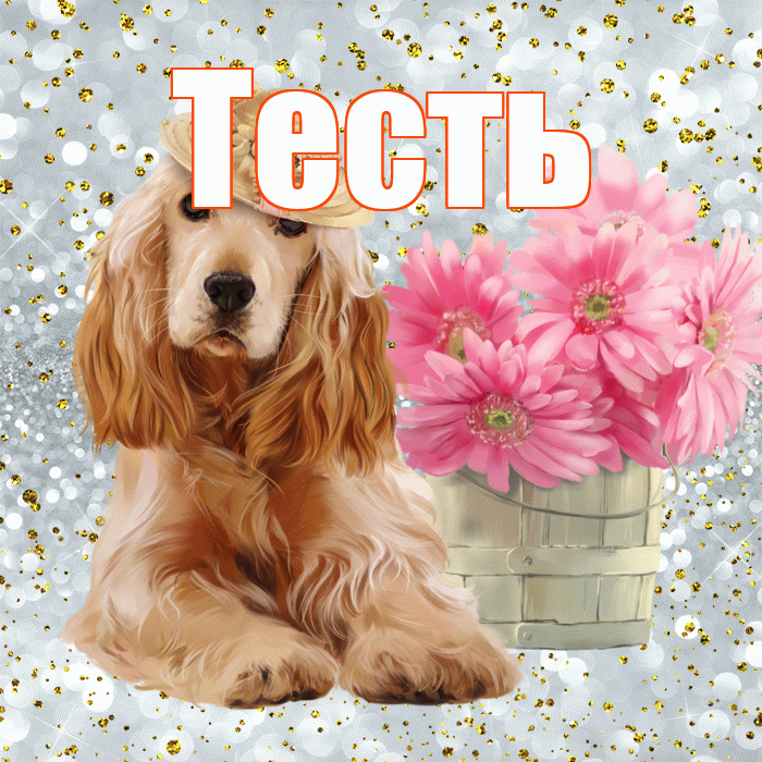 Тесть! Доброе утро! Красивая открытка Тестю!