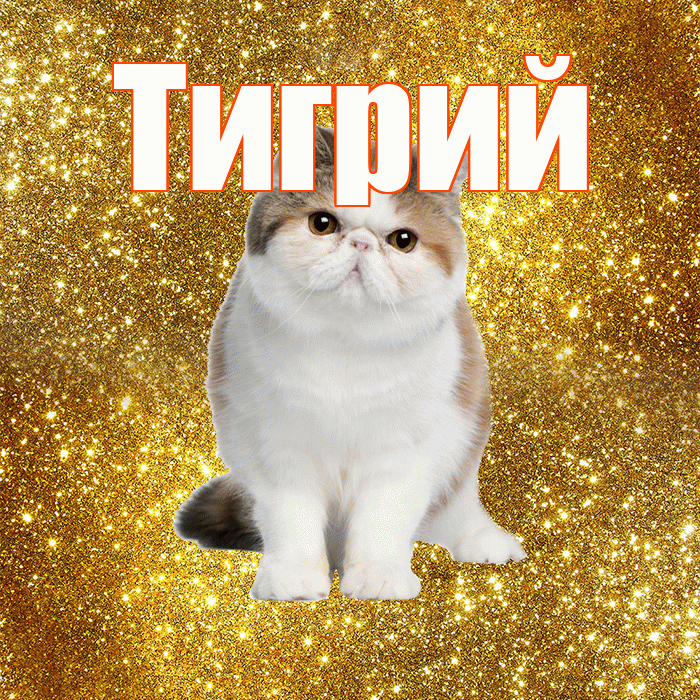 Тигрий! Доброе утро! Красивая открытка Тигрии!