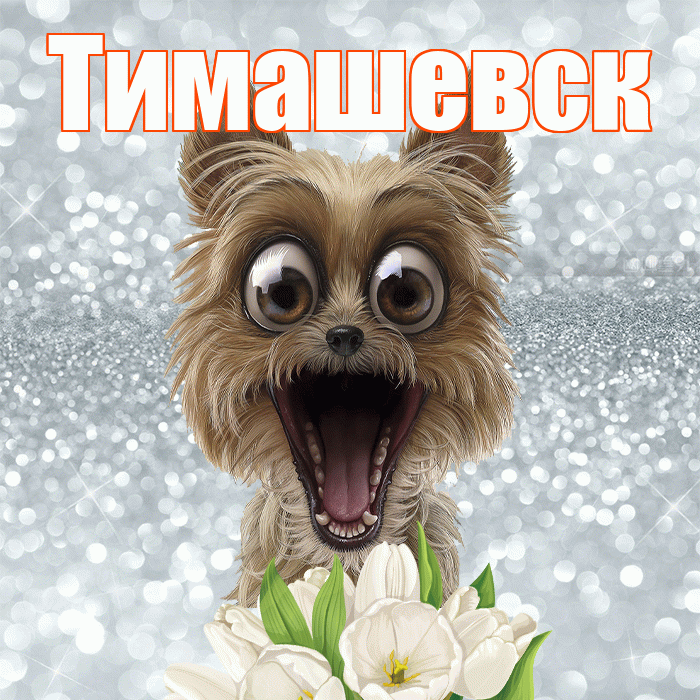 Тимашевск! Доброе утро! Красивая открытка Тимашевску!