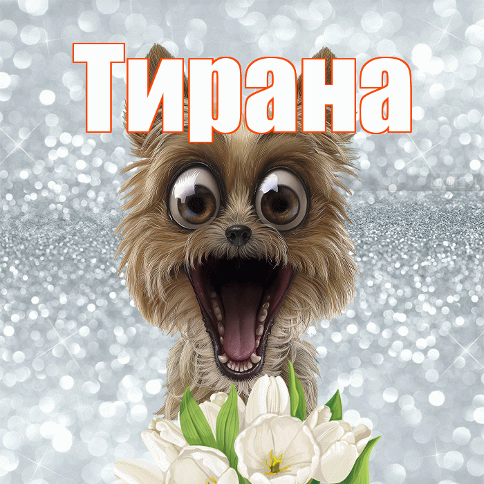 Тирана! Доброе утро! Красивая открытка Тиране!