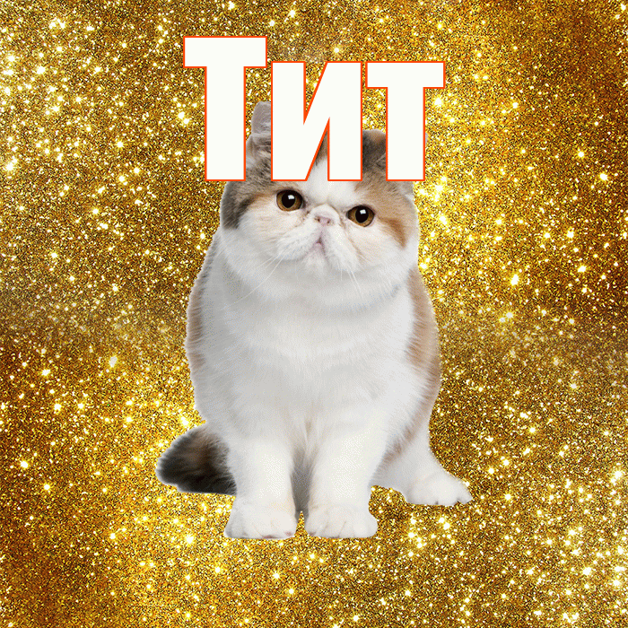 Тит! Доброе утро! Красивая открытка Титу!