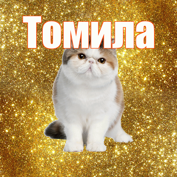 Томила! Доброе утро! Красивая открытка Томиле!