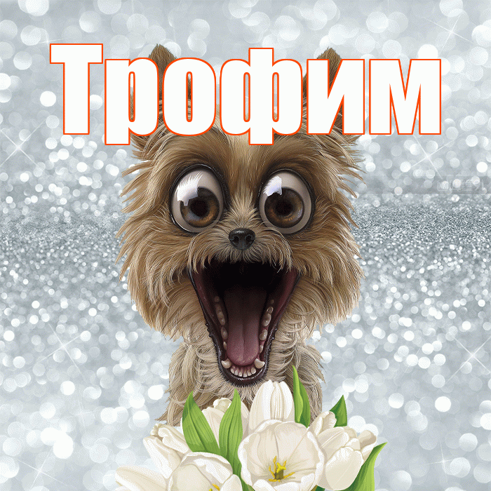 Трофим! Доброе утро! Красивая открытка Трофиму!