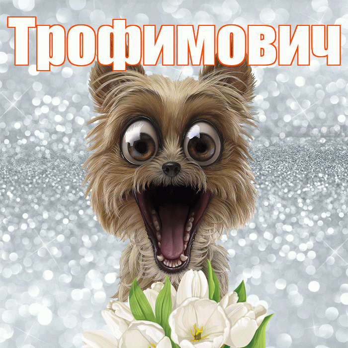 Трофимович! Доброе утро! Красивая открытка Трофимовичу!