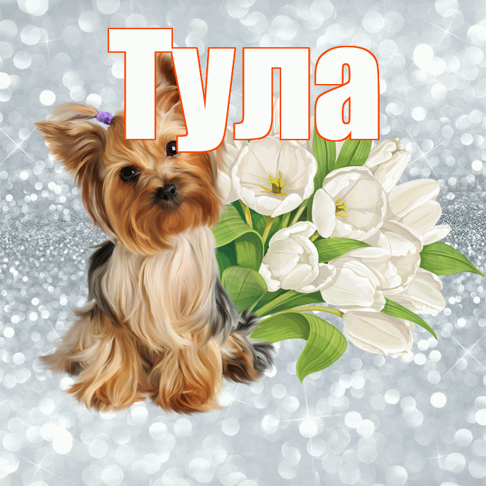Тула! Доброе утро! Красивая открытка Туле!