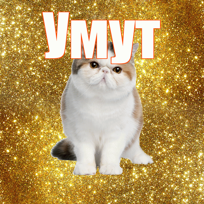 Умут! Доброе утро! Красивая открытка Умуту!