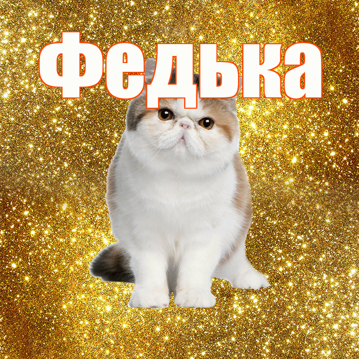 Федька! Доброе утро! Красивая открытка !