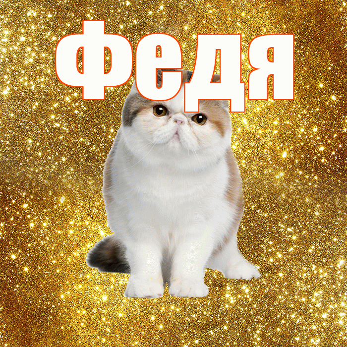 Федя! Доброе утро! Красивая открытка Феде!