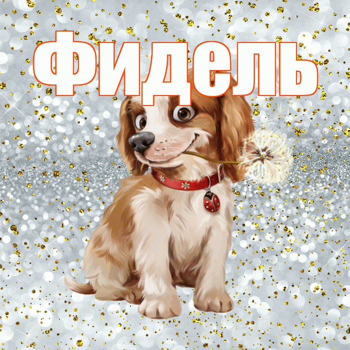 Фидель! Доброе утро! Красивая открытка Фиделю!