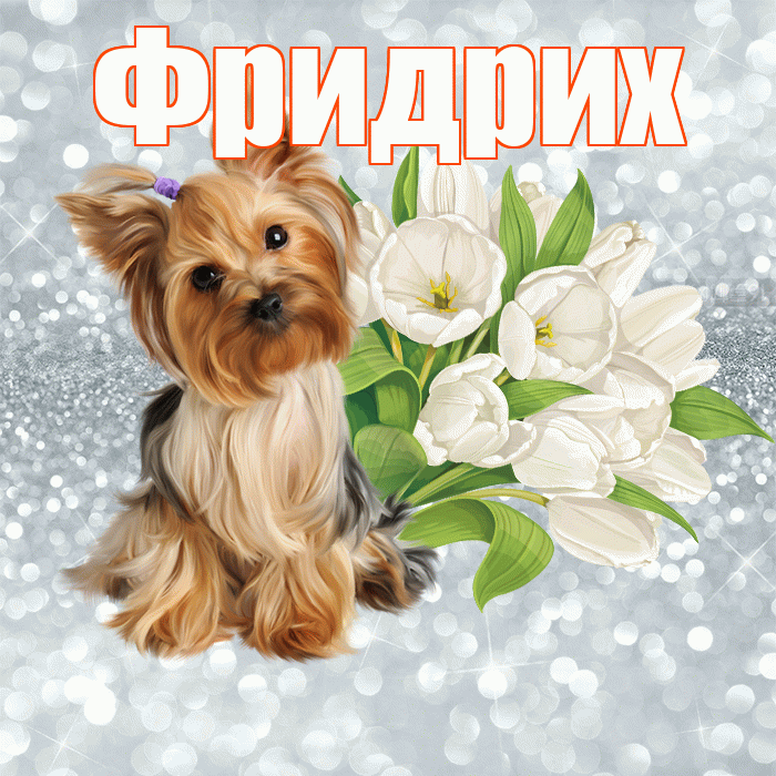Фридрих! Доброе утро! Красивая открытка Фридриху!