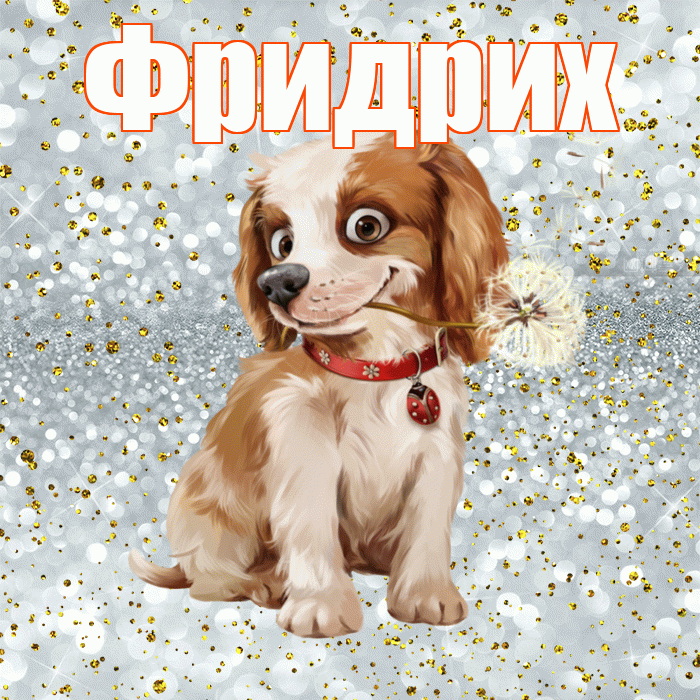 Фридрих! Доброе утро! Красивая открытка Фридриху!