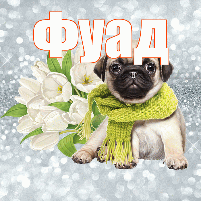 Фуад! Доброе утро! Красивая открытка Фуаду!