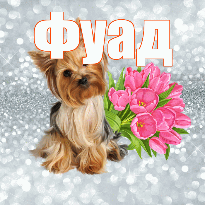 Фуад! Доброе утро! Красивая открытка Фуаду!