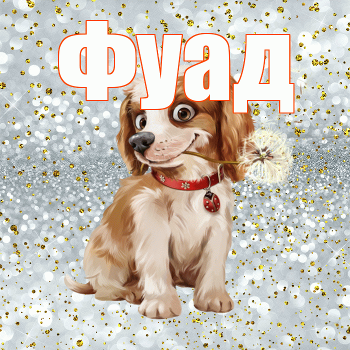 Фуад! Доброе утро! Красивая открытка Фуаду!