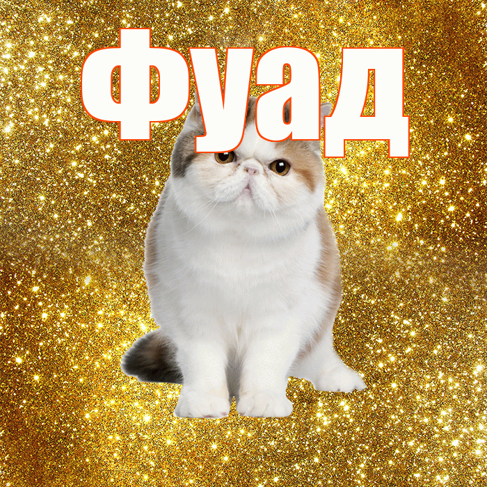 Фуад! Доброе утро! Красивая открытка Фуаду!
