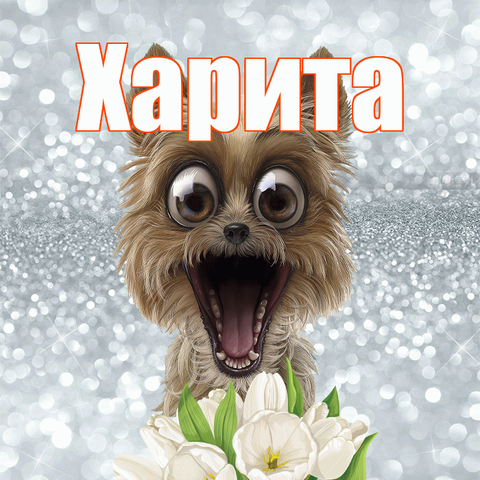 Харита! Доброе утро! Красивая открытка Харите!