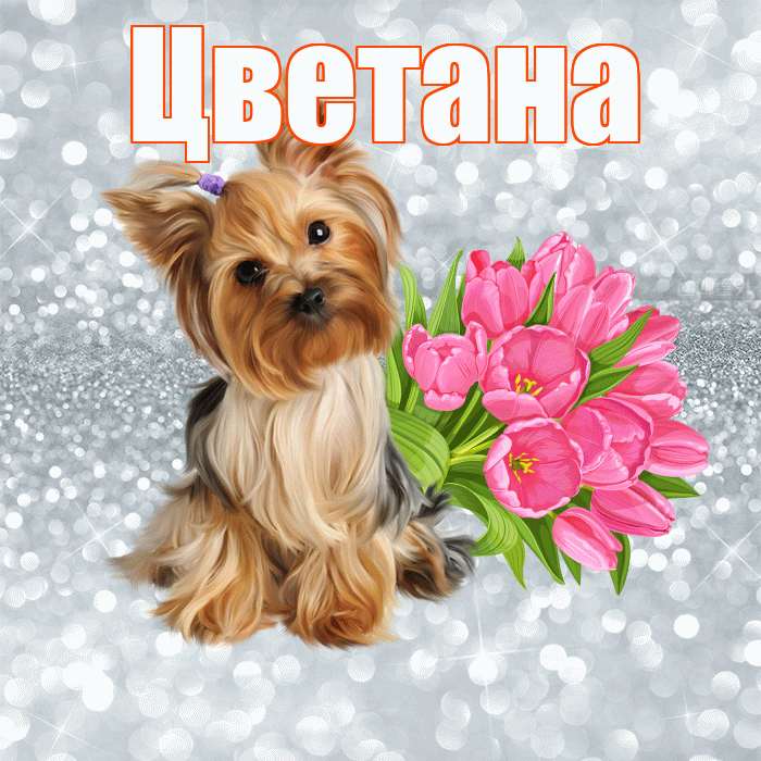 Цветана! Доброе утро! Красивая открытка Цветане!