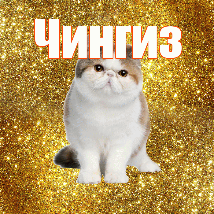 Чингиз! Доброе утро! Красивая открытка Чингизу!