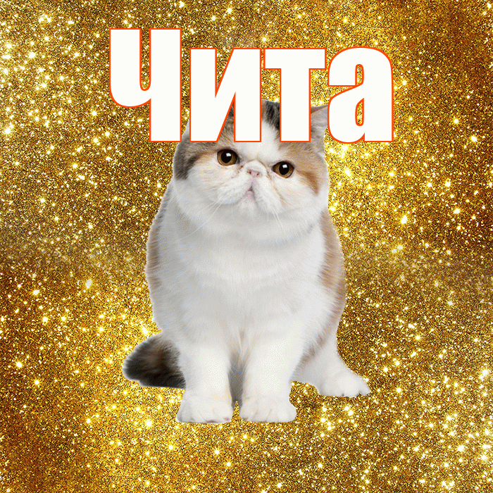 Чита! Доброе утро! Красивая открытка Чите!
