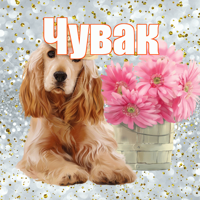 Чувак! Доброе утро! Красивая открытка Чуваку!