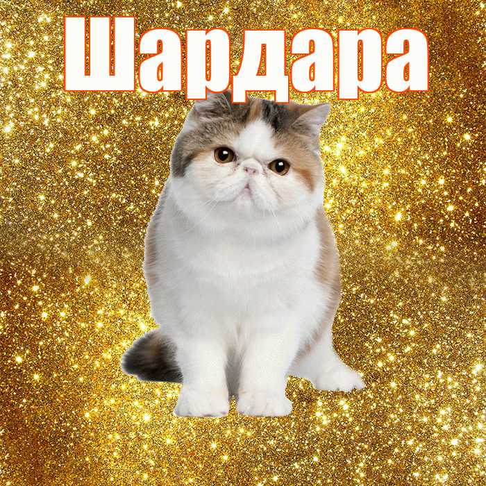 Шардара! Доброе утро! Красивая открытка Шардаре!