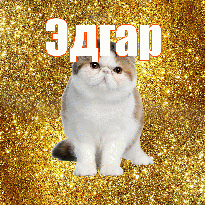 Эдгар! Доброе утро! Красивая открытка Эдгару!