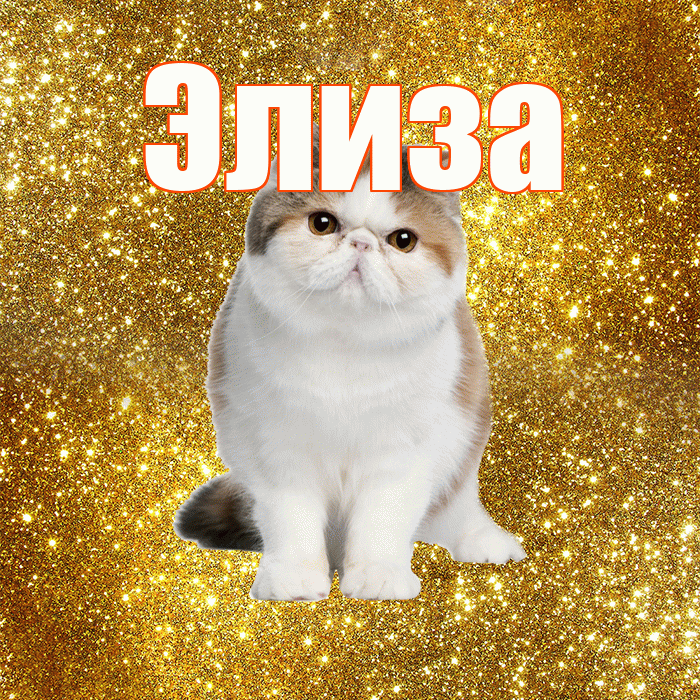 Элиза! Доброе утро! Красивая открытка Элизе!